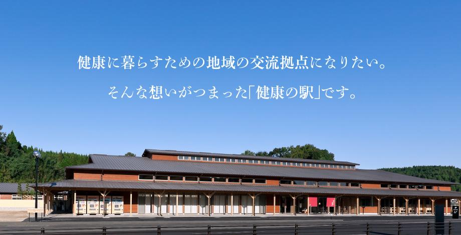 slide6.jpg